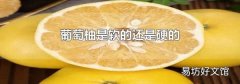葡萄柚是軟的還是硬的