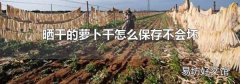 曬干的蘿卜干怎么保存不會壞