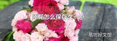 捧花怎么保存久一點