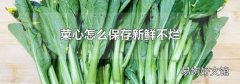 菜心怎么保存新鮮不爛