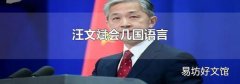 汪文斌会几国语言