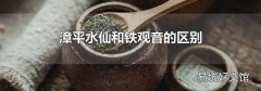 漳平水仙和铁观音的区别