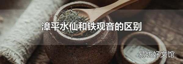 漳平水仙和铁观音的区别