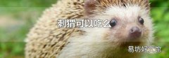 刺猬可以吃么