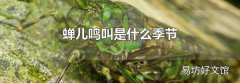 蟬兒鳴叫是什么季節