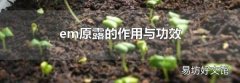 em原露的作用與功效