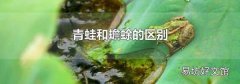 青蛙和蟾蜍的區別