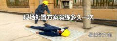 現場處置方案演練多久一次