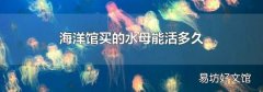 海洋館買的水母能活多久