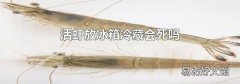 活蝦放冰箱冷藏會死嗎