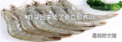 蝦買回來死了要立即煮嗎