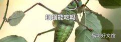 蟈蟈能吃嗎
