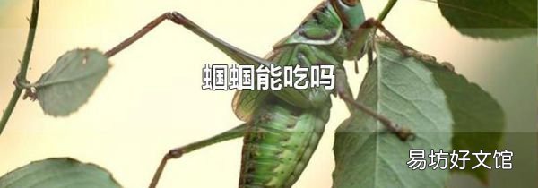 蟈蟈能吃嗎