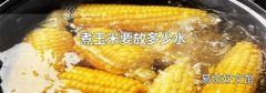 煮玉米要放多少水