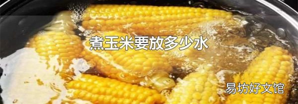 煮玉米要放多少水