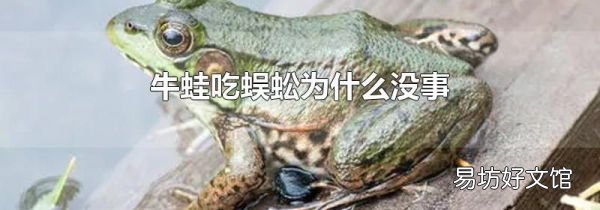 牛蛙吃蜈蚣為什么沒事