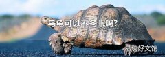 烏龜可以不冬眠嗎?