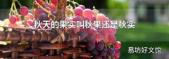 秋天的果實叫秋果還是秋實