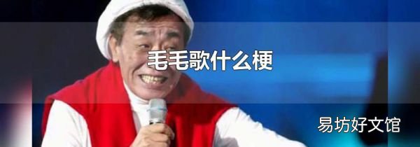 毛毛歌什么梗