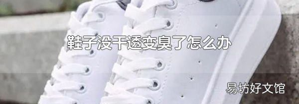 鞋子沒干透變臭了怎么辦