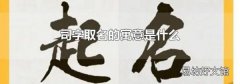 司字取名的寓意是什么