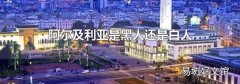 阿爾及利亞是黑人還是白人
