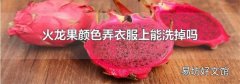 火龍果顏色弄衣服上能洗掉嗎