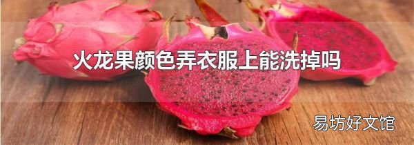 火龍果顏色弄衣服上能洗掉嗎