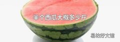 半個西瓜大概多少斤