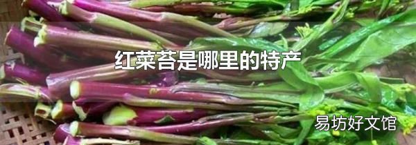 紅菜苔是哪里的特產
