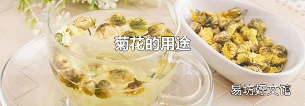 菊花的用途