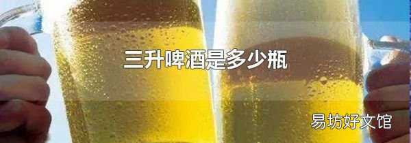 三升啤酒是多少瓶