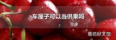 車厘子可以當供果嗎