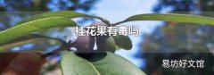 桂花果有毒嗎