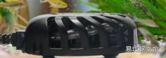 加熱棒漏電會電死魚嗎