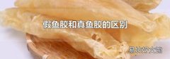 假魚膠和真魚膠的區別