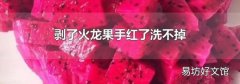 剝了火龍果手紅了洗不掉