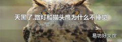 天黑了,路灯和猫头鹰为什么不睡觉