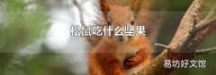 松鼠吃什么坚果