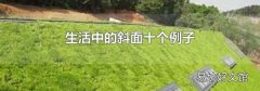 生活中的斜面十個例子
