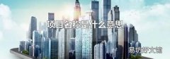 項目名稱是什么意思