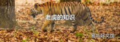 老虎的知识
