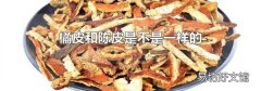 橘皮和陳皮是不是一樣的