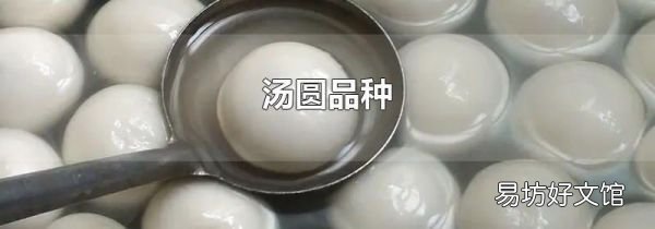 湯圓品種