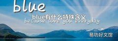 blue有什么特殊含義