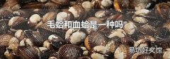 毛蛤和血蛤是一種嗎
