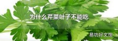 為什么芹菜葉子不能吃