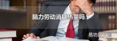 腦力勞動消耗熱量嗎