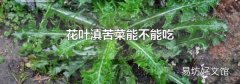 花葉滇苦菜能不能吃