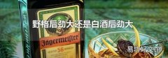 野格后勁大還是白酒后勁大